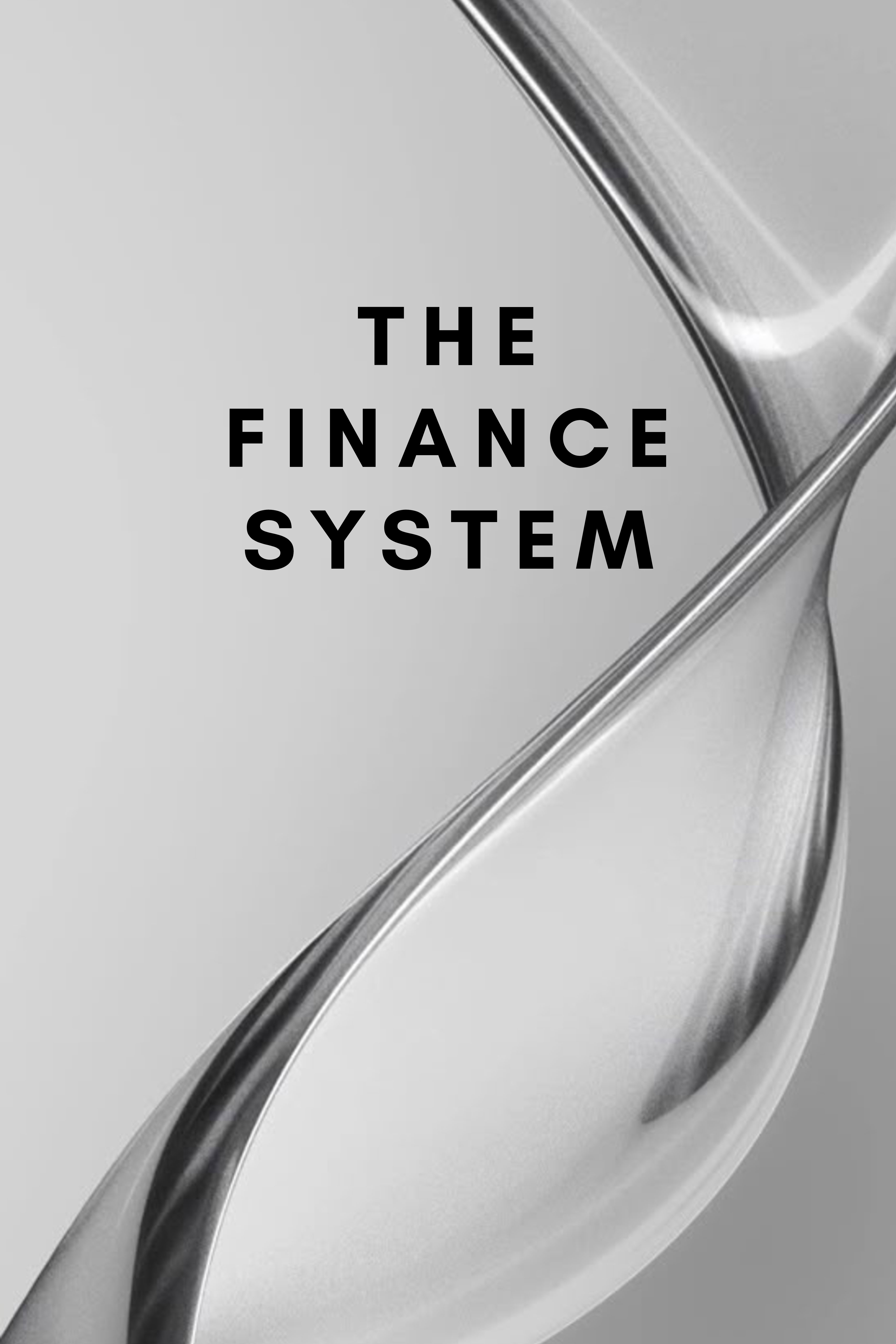 The Finance System
